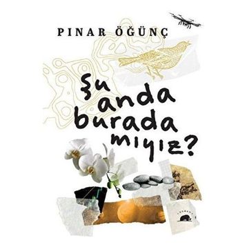 Şu Anda Burada Mıyız? Kolektif Kitap