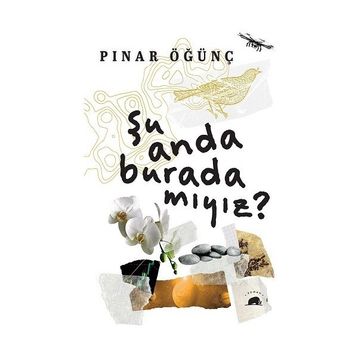 Şu Anda Burada Mıyız? Kolektif Kitap