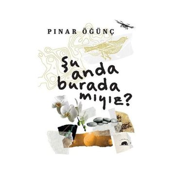 Şu Anda Burada Mıyız? Pınar Öğünç Kolektif Kitap