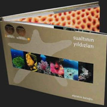 SUALTININ YILDIZLARI - ALPTEKIN BALOĞLU