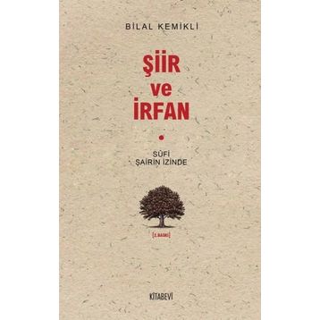 Sufi ve Şiir - Mahmut Erol Kılıç