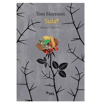 Sula - Toni Morrison