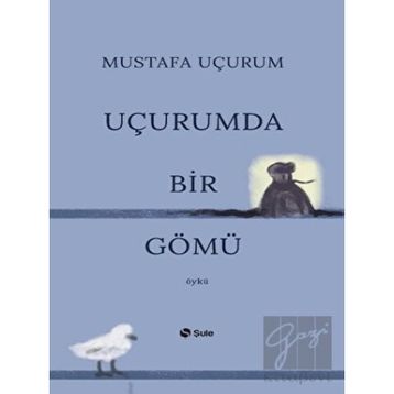 Şule Yayınları Uçurumda Bir Gömü