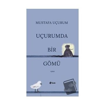 Şule Yayınları Uçurumda Bir Gömü