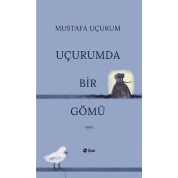 Şule Yayınları Uçurumda Bir Gömü