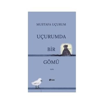 Şule Yayınları Uçurumda Bir Gömü