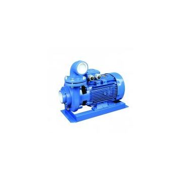 Sumak SMT1000/3 Trifaze Santrifüj Pompa