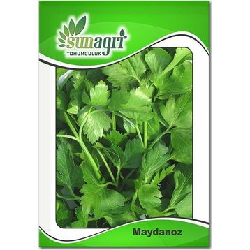 Sunagri 10 gr Maydonoz Tohumu
