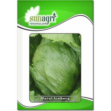 Sunagri 2 gr İceberg Marul Tohumu