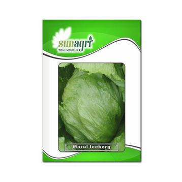 Sunagri 2 gr İceberg Marul Tohumu