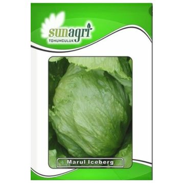 Sunagri 2 gr İceberg Marul Tohumu