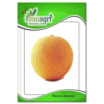 Sunagri Ananas Kavun Meyve Tohumu