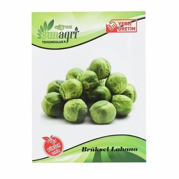 Sunagri Brüksel Lahana Sebze Tohumu