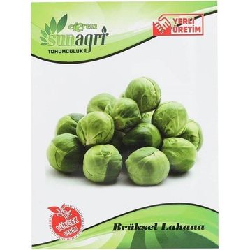 Sunagri Brüksel Lahana Sebze Tohumu