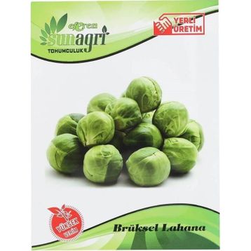 Sunagri Brüksel Lahana Sebze Tohumu
