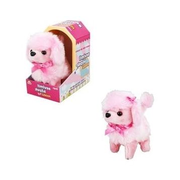 Sunman Sevimli Köpek Poodle