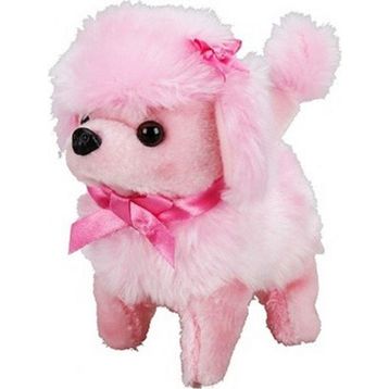 Sunman Sevimli Köpek Poodle