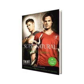 Supernatural Bir Yıl Sonra: Paranormal Kötülüğün Peşindeki İki Kardeş - Rebecca Dessertine