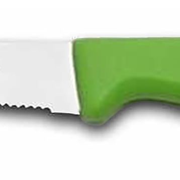 Sürbisa 61004-LZ Yeşil Tırtıklı Uç Sebze Meyve Bıçağı