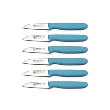 Sürbisa 61007 Turkuaz Saplı 6 Parça Meyve Bıçağı