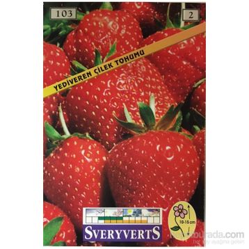 Sveryverts Çilek Tohumu