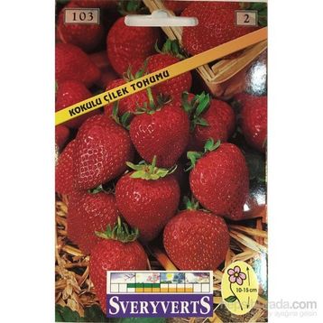 Sveryverts Çilek Tohumu