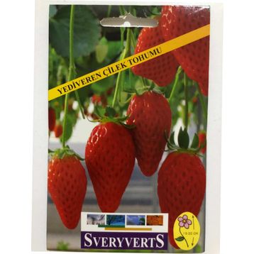 Sveryverts Çilek Tohumu