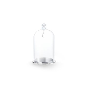 Swarovski 5527606 Bell Jar Dısplay, Large Ev Dekorasyonu Objesi