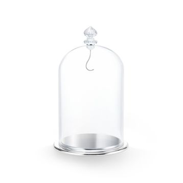 Swarovski 5527606 Bell Jar Dısplay, Large Ev Dekorasyonu Objesi