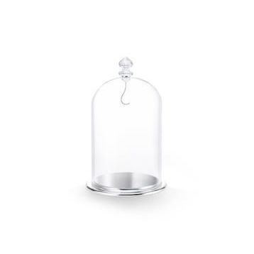 Swarovski 5527606 Bell Jar Dısplay, Large Ev Dekorasyonu Objesi