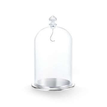 Swarovski 5527606 Bell Jar Dısplay, Large Ev Dekorasyonu Objesi