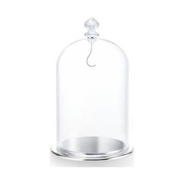 Swarovski 5527606 Bell Jar Dısplay, Large Ev Dekorasyonu Objesi
