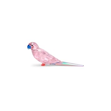 Swarovski 5557848 Biblo