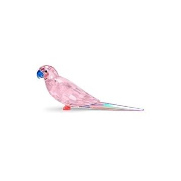 Swarovski 5557848 Biblo