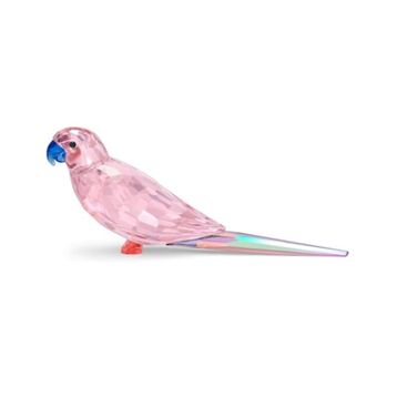 Swarovski 5557848 Biblo