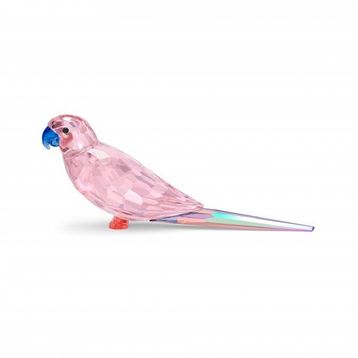 Swarovski 5557848 Biblo