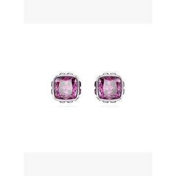 Swarovski 5660797 Birthstone Pe Studs Feb Pur-Rhs Küpe