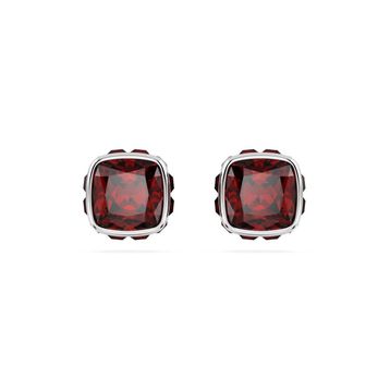 Swarovski 5660798 Kadın Küpe