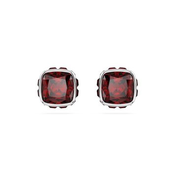 Swarovski 5660798 Kadın Küpe