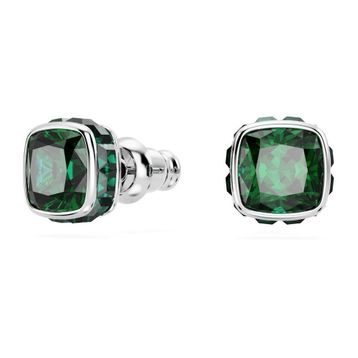Swarovski 5660801 Kadın Küpe