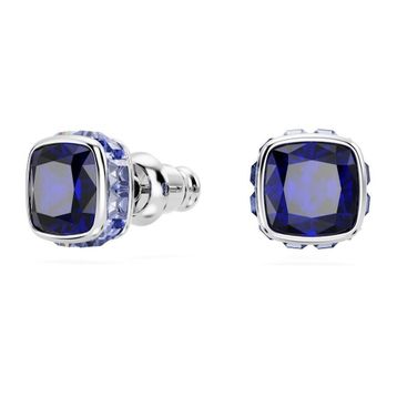 Swarovski 5660803 Kadın Küpe