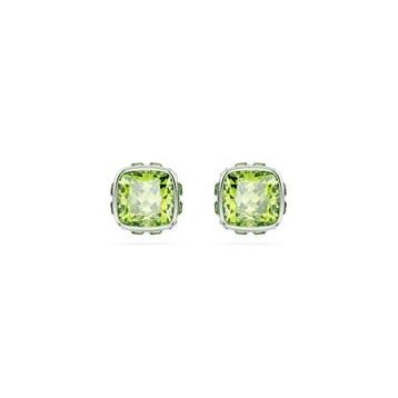 Swarovski 5661958 Kadın Küpe