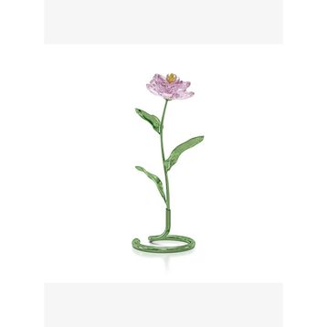 Swarovski 5668065 Florere Peony Ev Dekorasyonu
