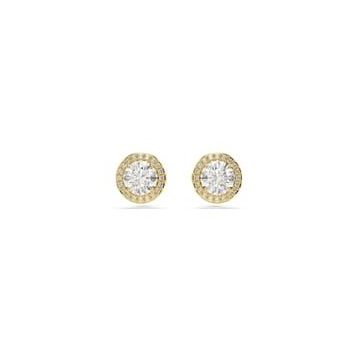 Swarovski 5686637 Kadın Küpe