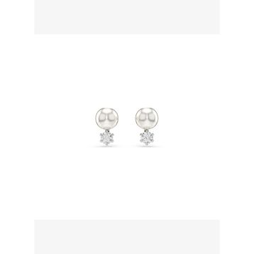 Swarovski 5694225 Kadın Küpe