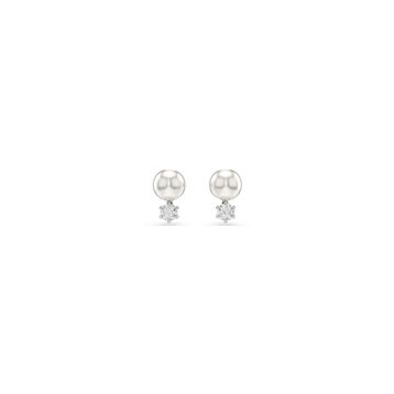Swarovski 5694225 Kadın Küpe