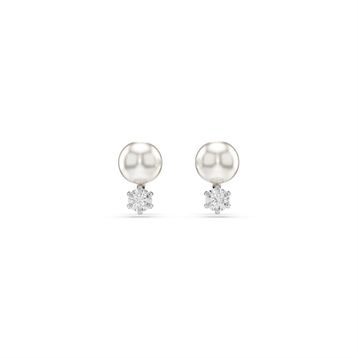 Swarovski 5694225 Kadın Küpe