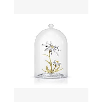 Swarovski 5701376 Florere Bell Jar 130 Th Anniversary Ev Dekorasyonu