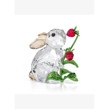 Swarovski 5702437 Idyllıa Rabbit and Raspberries Ev Dekorasyonu