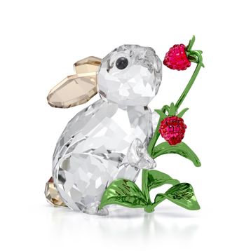 Swarovski 5702437 Idyllıa Rabbit and Raspberries Ev Dekorasyonu